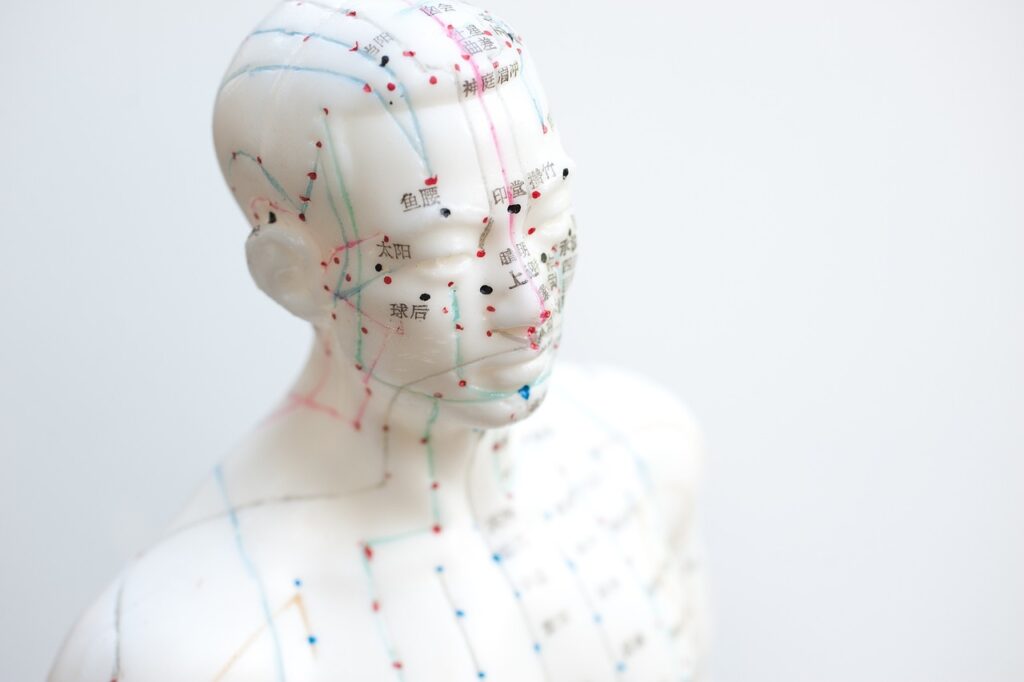 Agopuntura agopuntura neuralterapia e medicina integrata