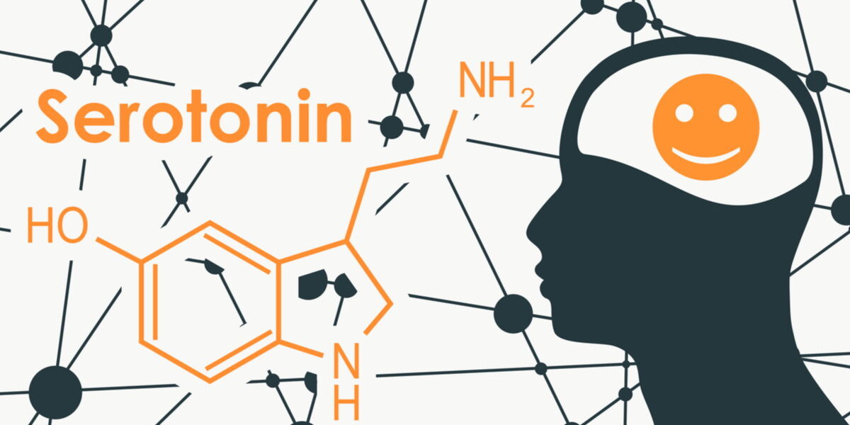 felicità e biochimica