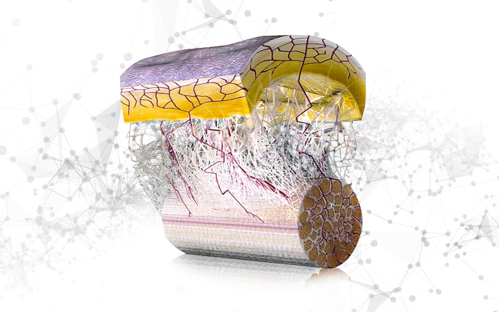 Terapia Neurale